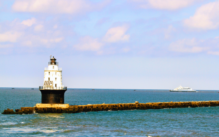 Best Places to Paddle Board in Cape May