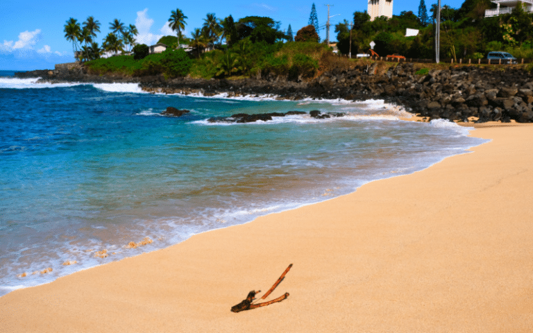 Best Places to Paddle Board in Haleiwa