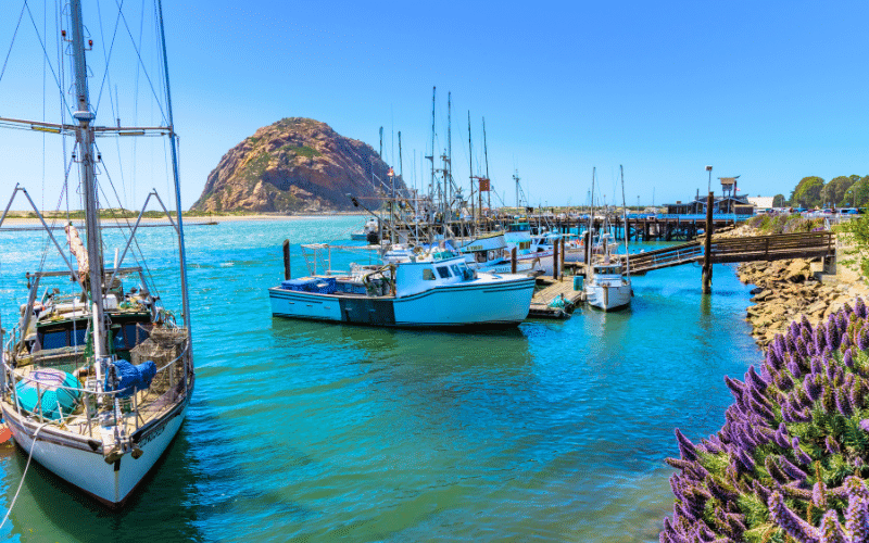 Best Places to Paddle Board in Morro Bay
