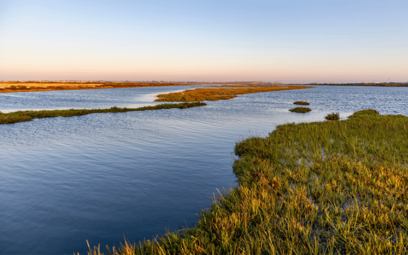 Bolsa Chica Ecological Reserve