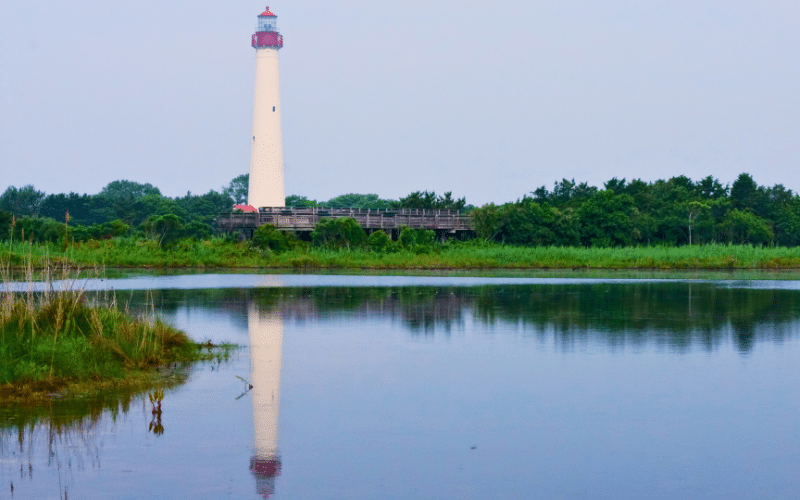 Cape May Point State Park