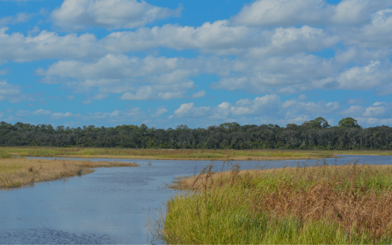 Guana River