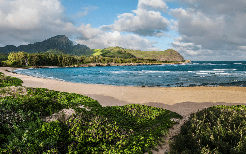 Kawailoa Beach