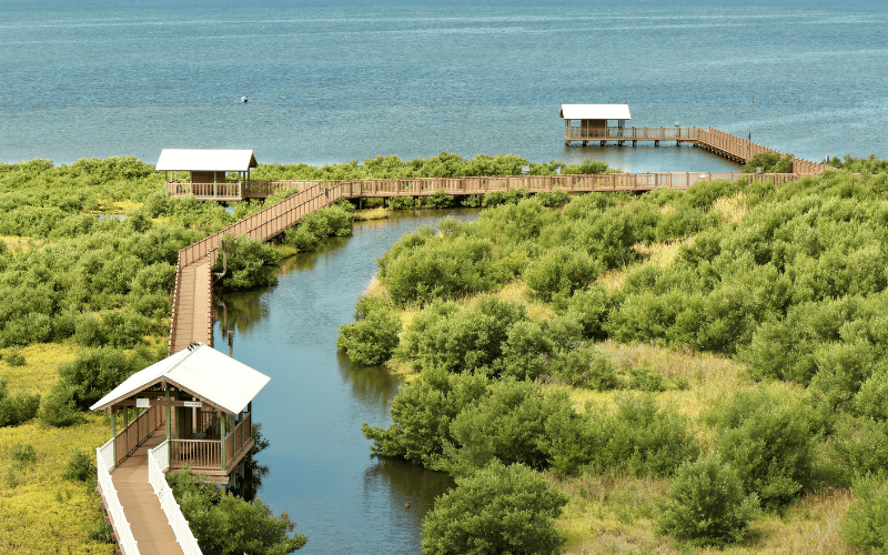 SPI Birding and Nature Center
