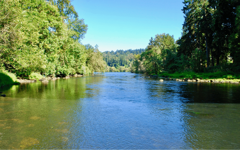 Tualatin River