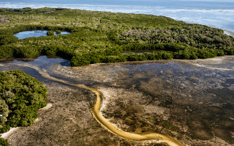 Weedon Island Preserve