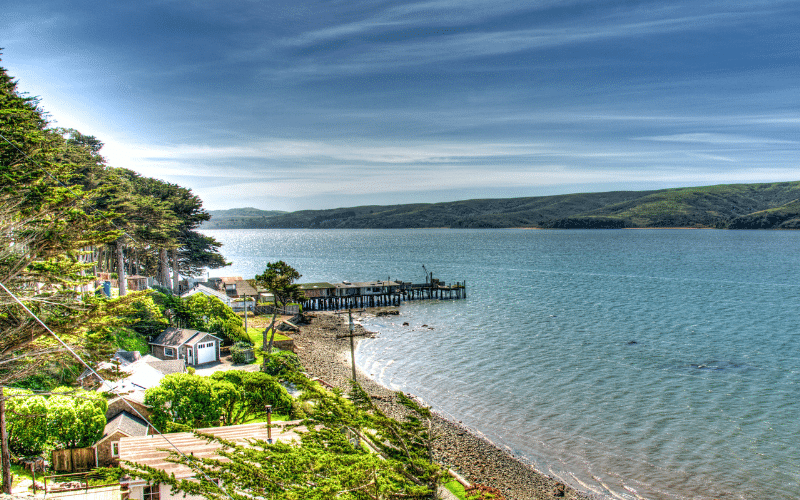 Best Places to Paddle Board in Tomales Bay