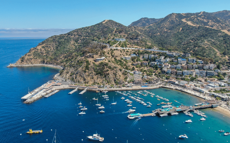 5 Best Places to Paddle Board on Santa Catalina Island, CA