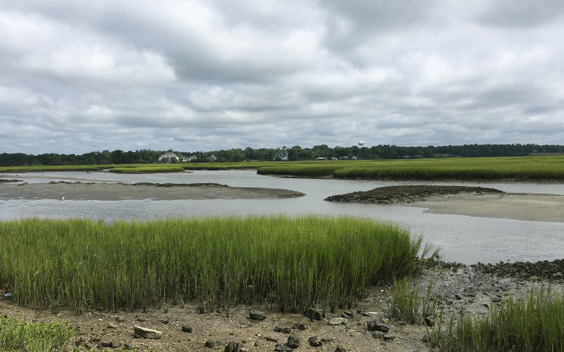 Cherry Grove Marsh