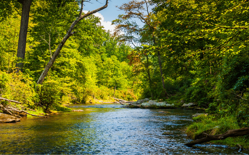 Gunpowder Falls State Park