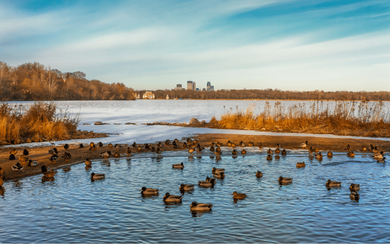 Lake Harriet