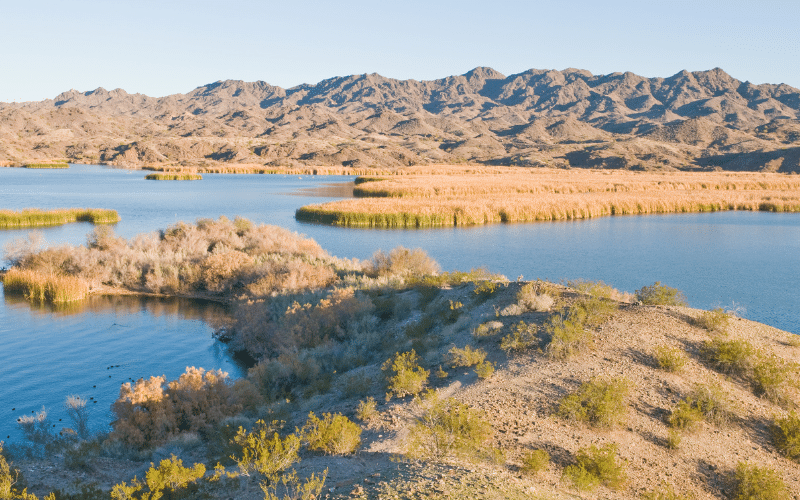 Lake Havasu