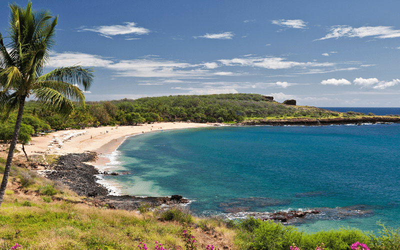 Manele Bay