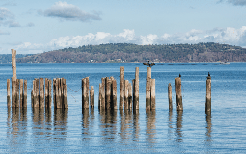 Puget Sound