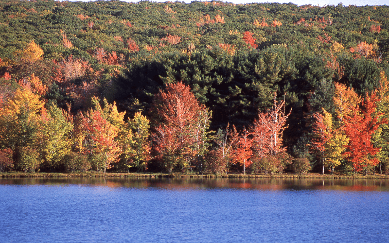 Rocky Gap State Park