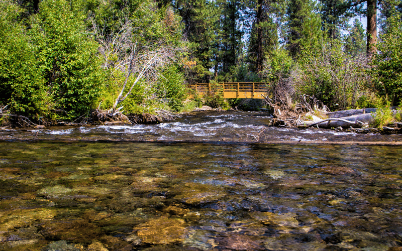 Tumalo Creek