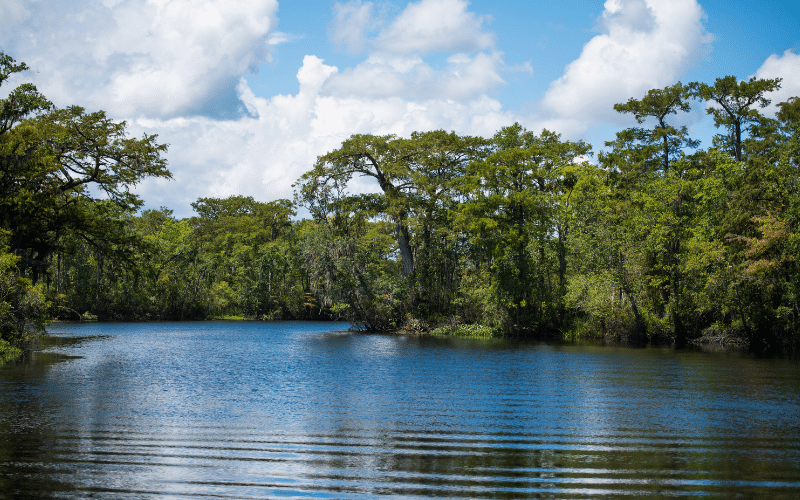 Waccamaw River