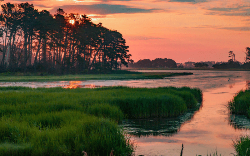 Best Places to Paddle Board in Chincoteague and Assateague Islands
