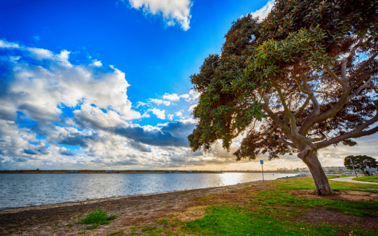 Best Places to Paddle Board in Mission Bay