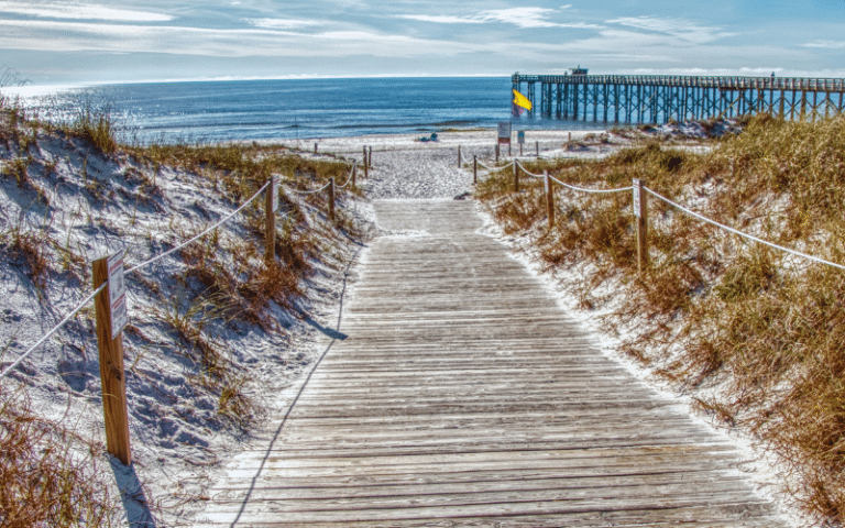 Best Places to Paddle Board in Panama City Beach