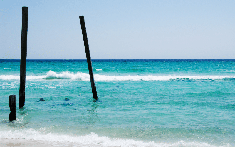 Camp Helen State Park