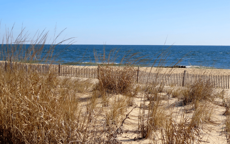 Delaware Seashore State Park