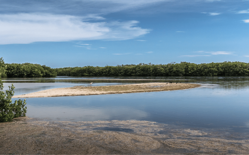 Ding Darling National Wildlife Refuge