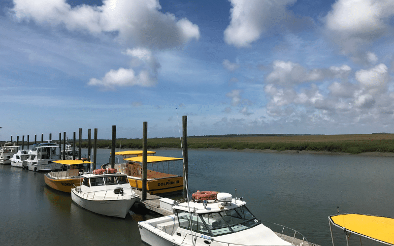 6 Best Places to Paddle Board in Tybee Island, GA