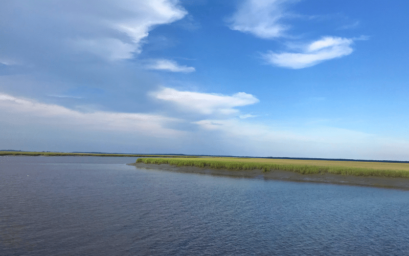 6 Best Places to Paddle Board in Tybee Island, GA