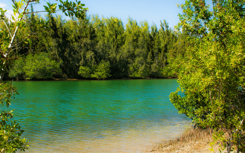 Oleta River State Park