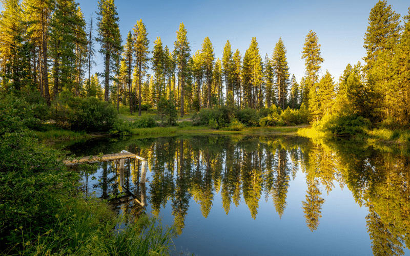 Quinn’s Pond