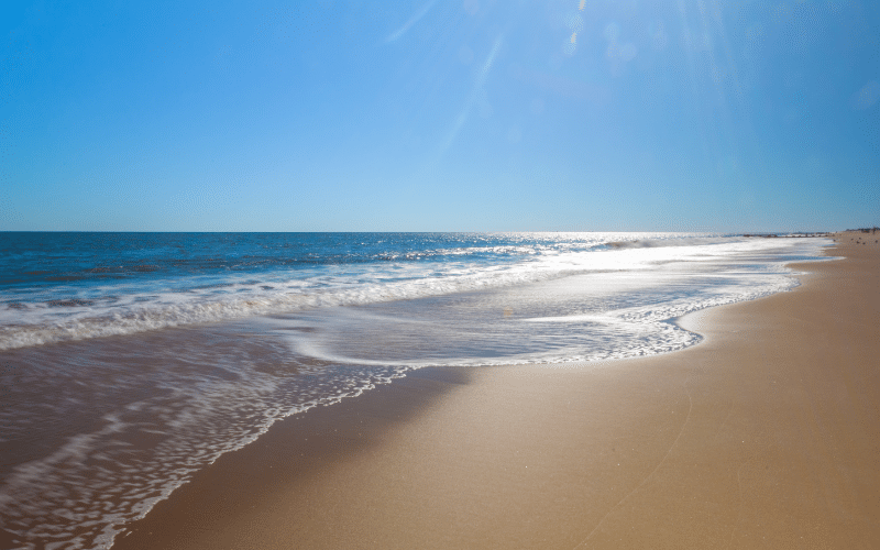 5 Best Places to Paddle Board in Delaware (DE)