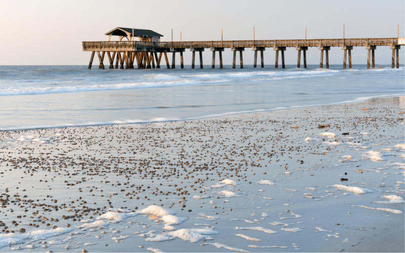 6 Best Places to Paddle Board in Tybee Island, GA
