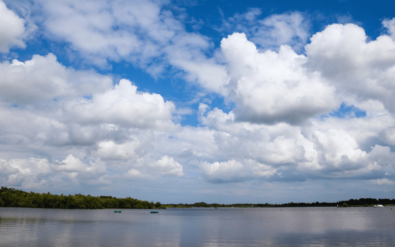 Barton Broad