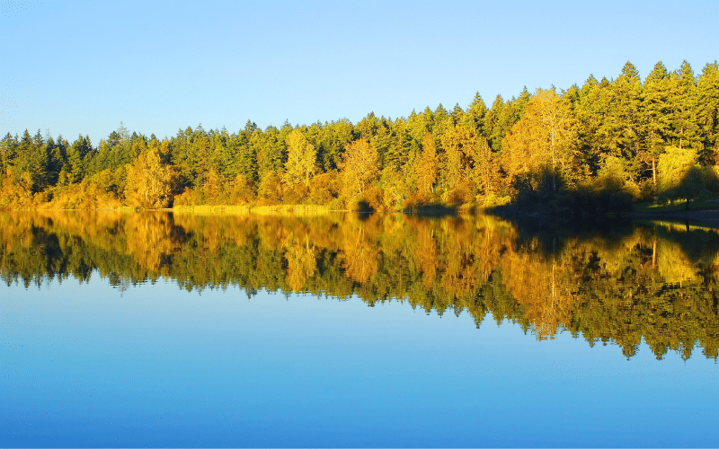 Beaverhill Lake Elk Island