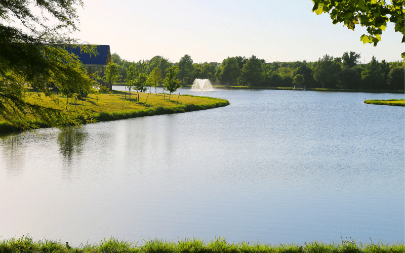 Buddy Holly Park Pond