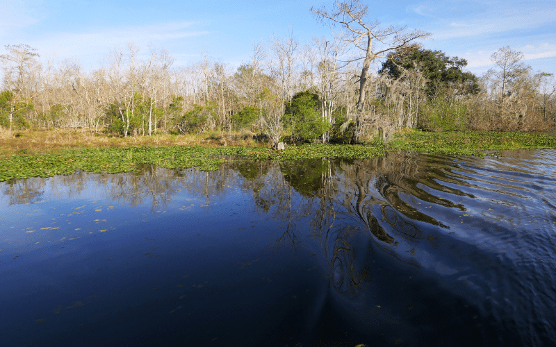 Cane Bayou