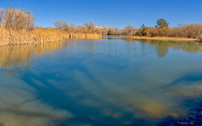Dead Horse Ranch State Park