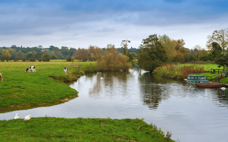Dedham Vale