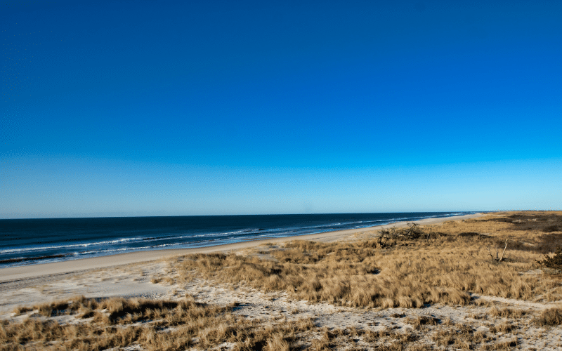 Dunewood Fire Island