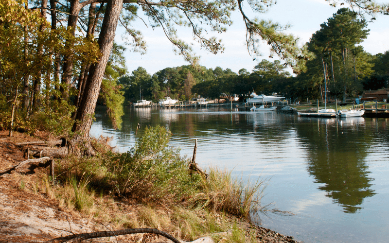 First Landing State Park