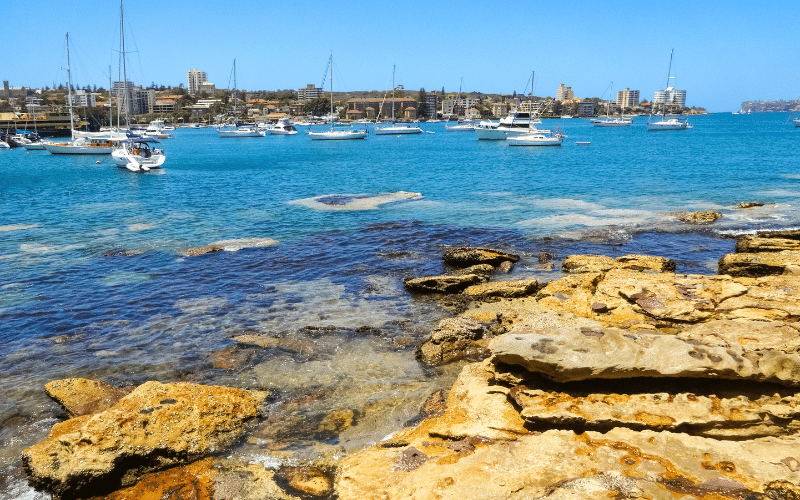 Manly Cove