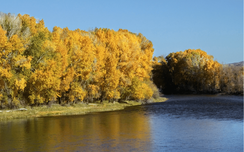 North Star Nature Preserve