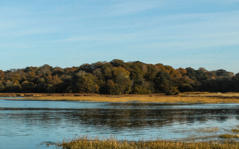 River Hamble