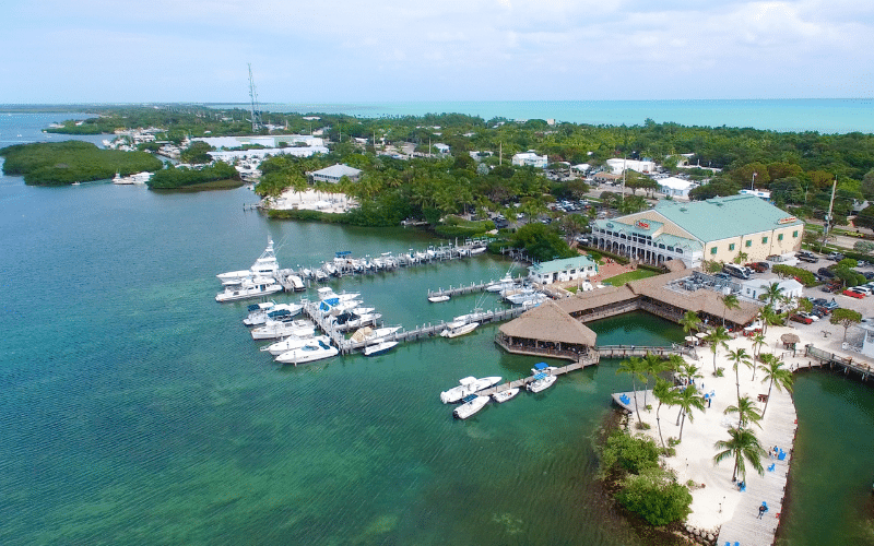 6 Best Places to Paddle Board in Florida Keys, FL