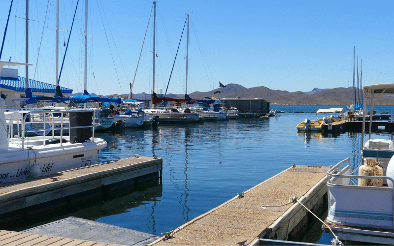 Scorpion Bay Marina