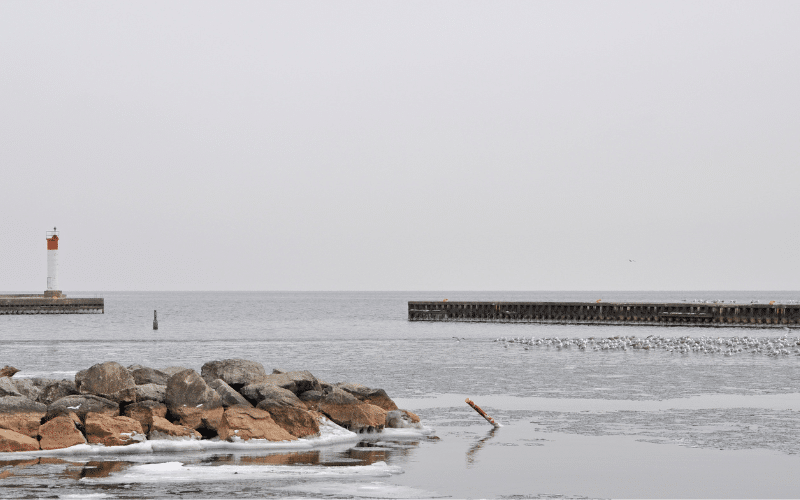 5 Best Places to Paddle Board in Oakville, CAN