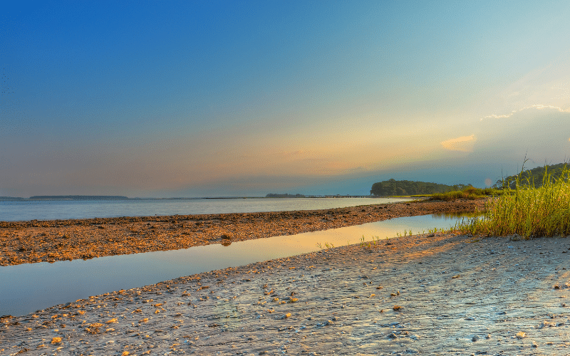 Broad Creek - Hilton Head Island