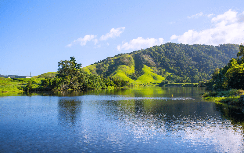 Daintree River