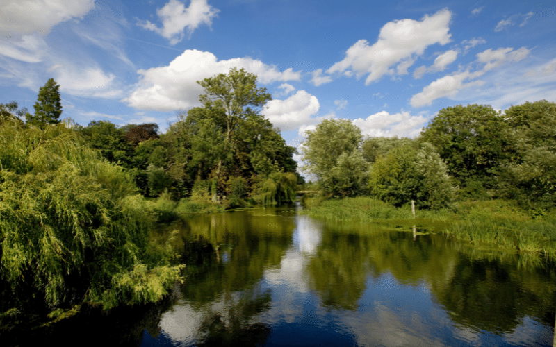 Grantchester Meadows